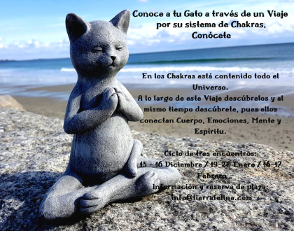 Curso online sistema de chakras en Gatos