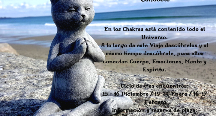 Curso online sistema de chakras en Gatos